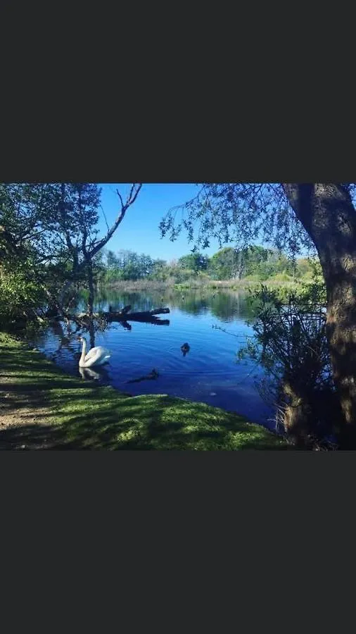 Apartament w Kołobrzegu „Słoneczny 305” 0*,